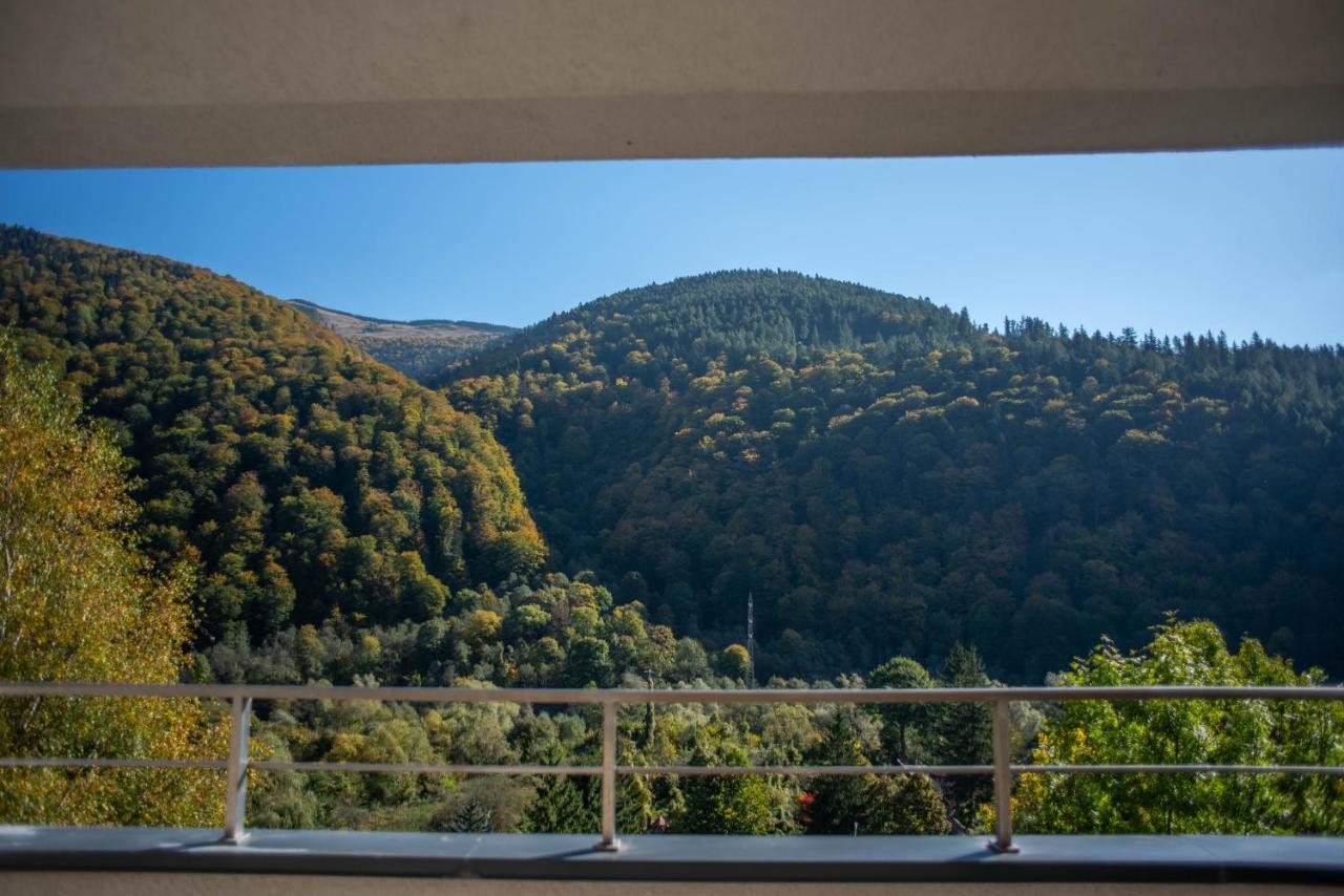Blue Forest Studio Sinaia Esterno foto