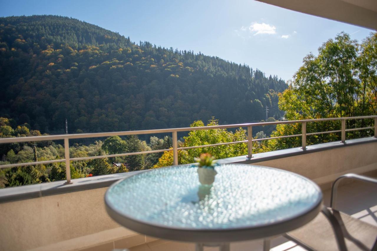 Blue Forest Studio Sinaia Esterno foto