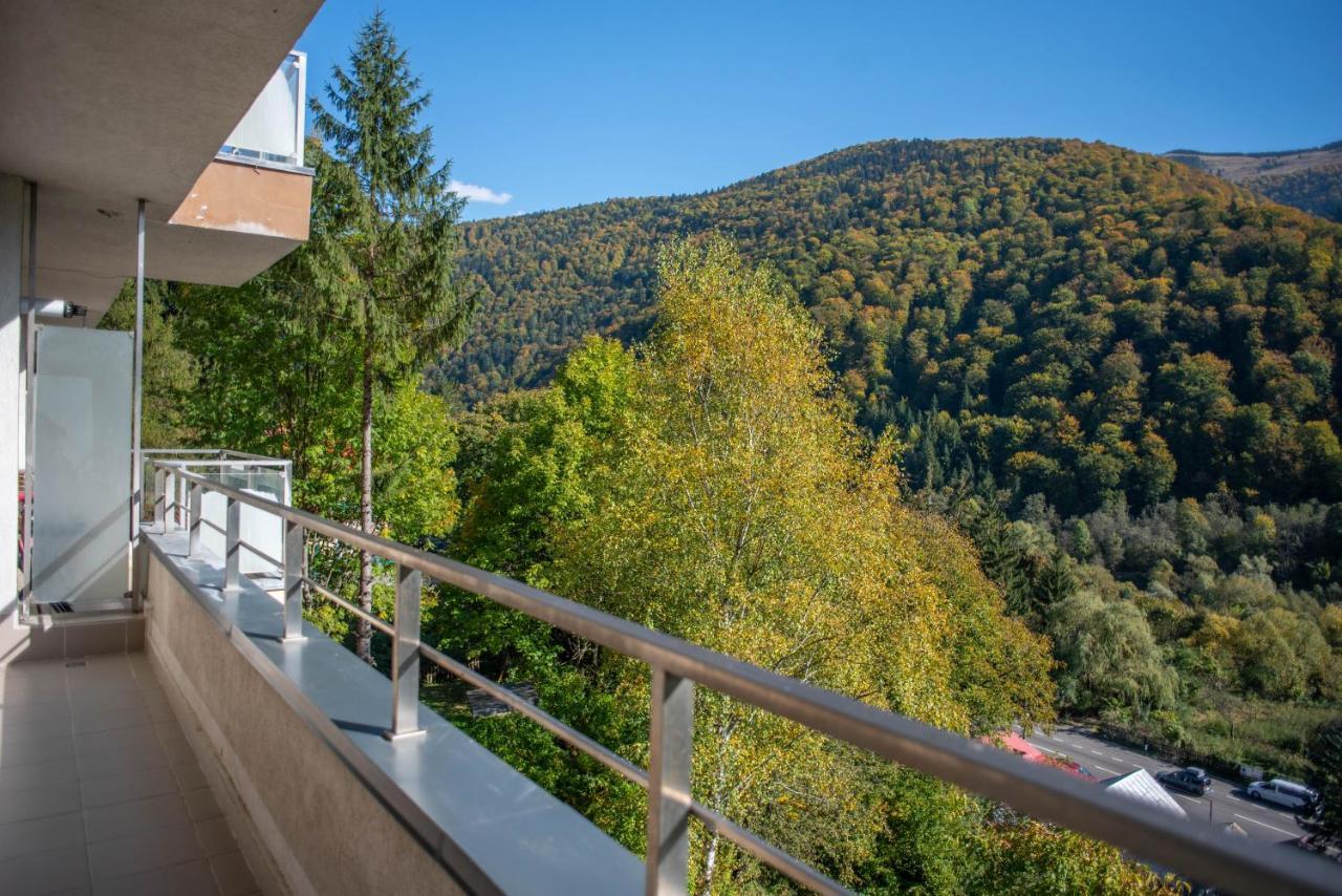Blue Forest Studio Sinaia Esterno foto